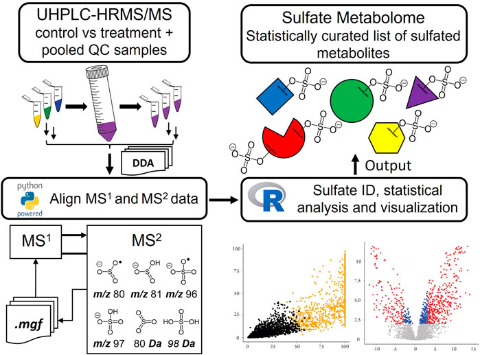 Profiling Urinary Sulfate Metabolites With Mass Spectrometry